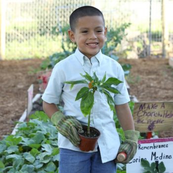 community garden
