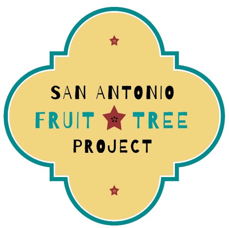 San Antonio Fruit Tree