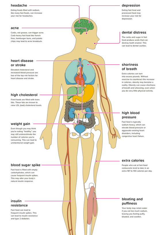 13 Effects Of Fast Food On The Human Body 