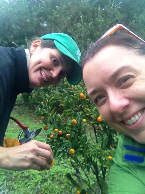 Melissa Federspill Mary Minor fruit tree rescue san antonio