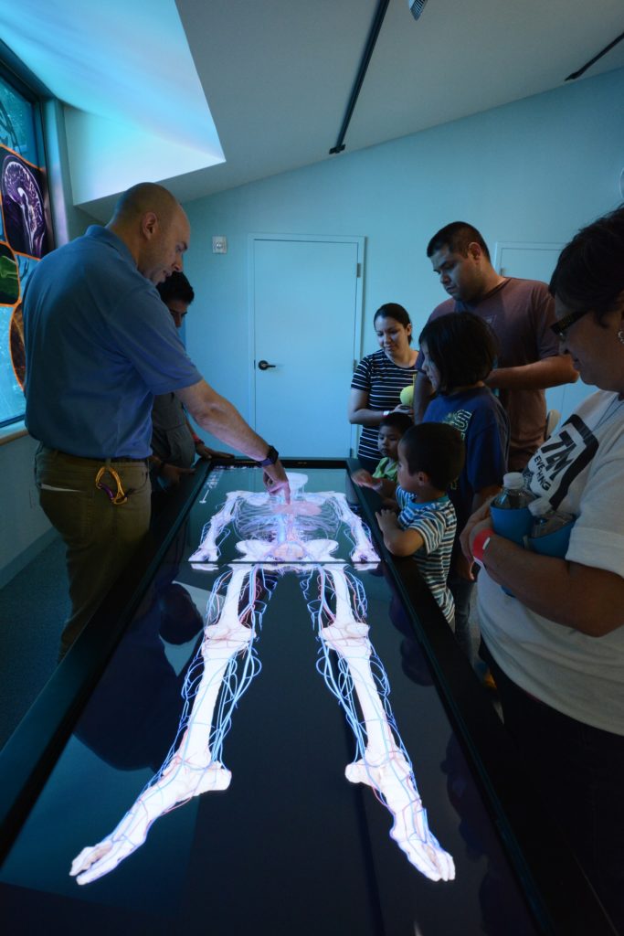 Visitors explore at the H-E-B Body Adventure at the Witte Museum in San Antonio