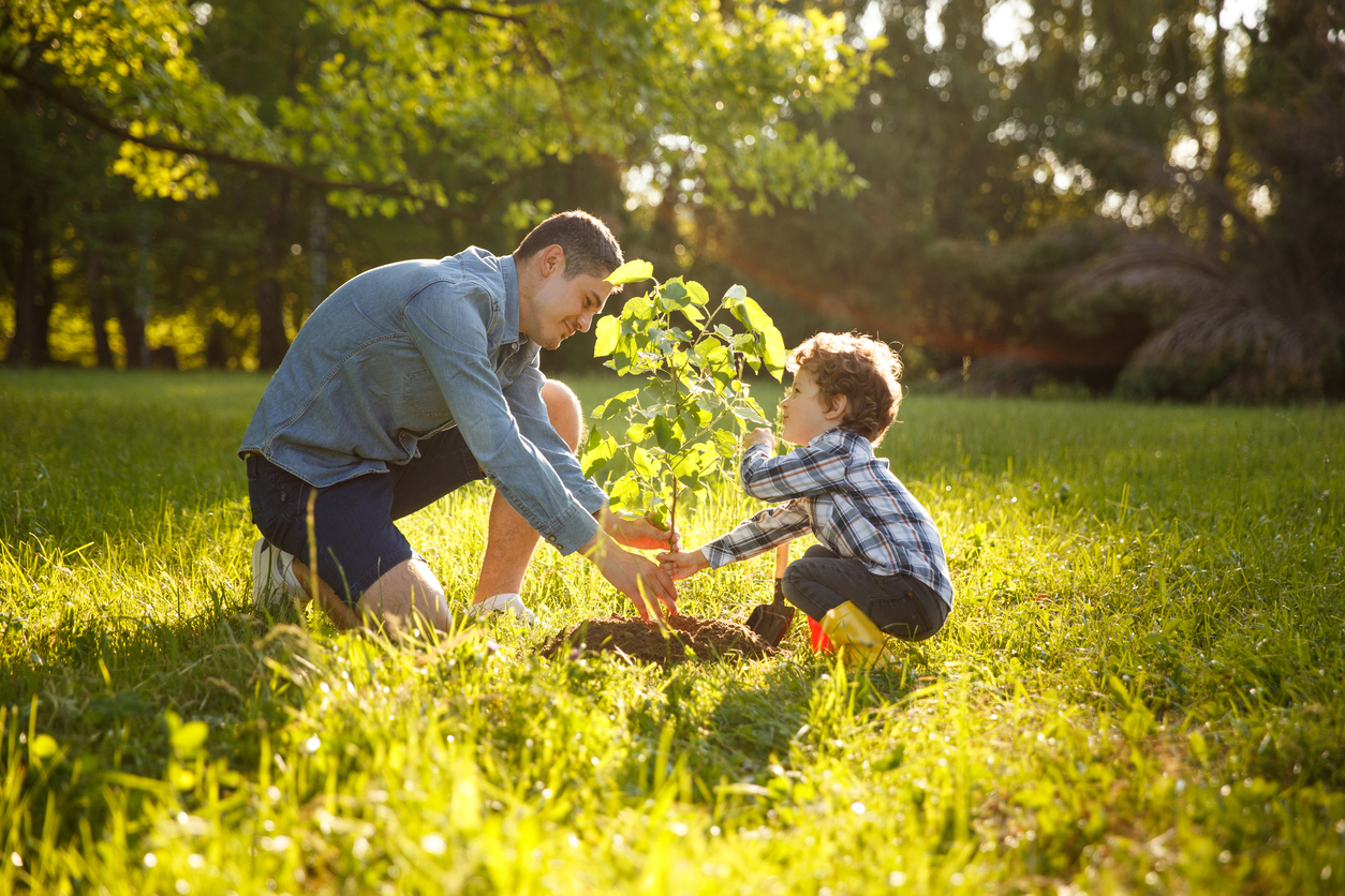 shared use green spaces planting tree father son latino