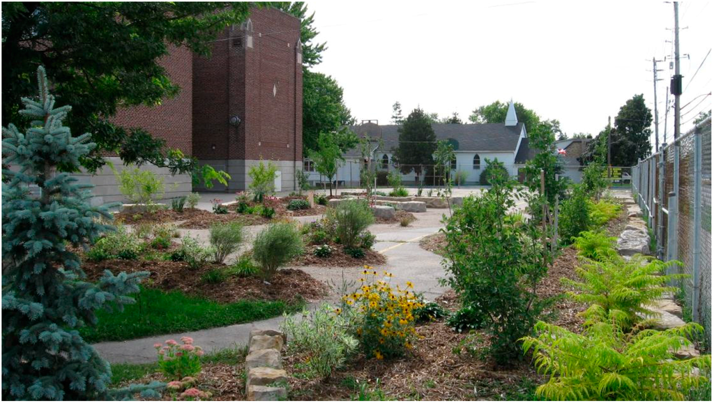 Austin Solves 'Nature Gaps' with Green School Parks