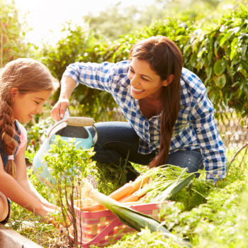 mother and daughter gardening together. community garden