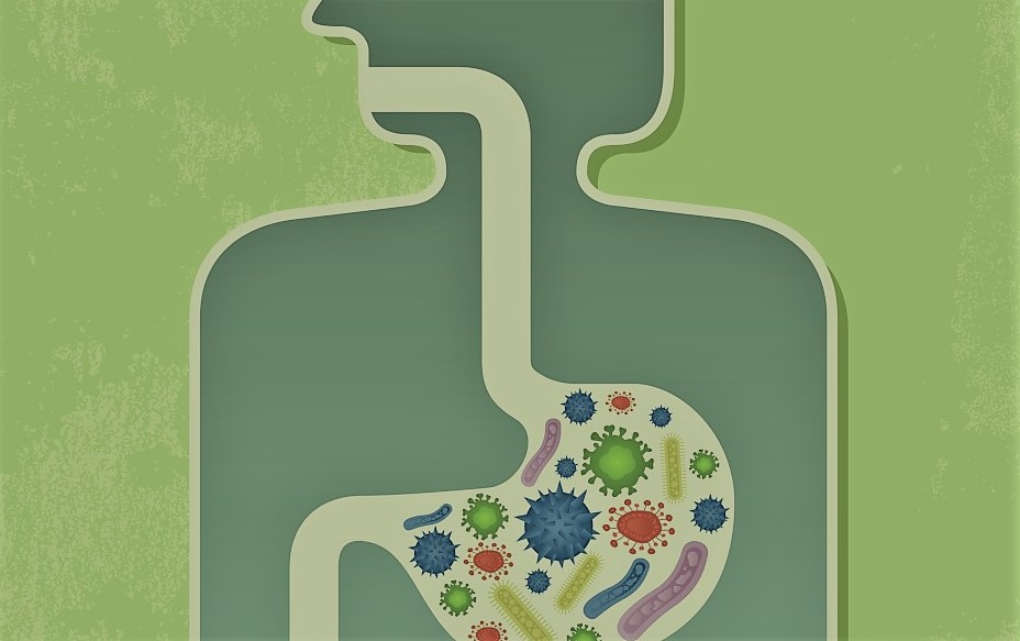 How to Shape Your Gut Microbiome for Better Health