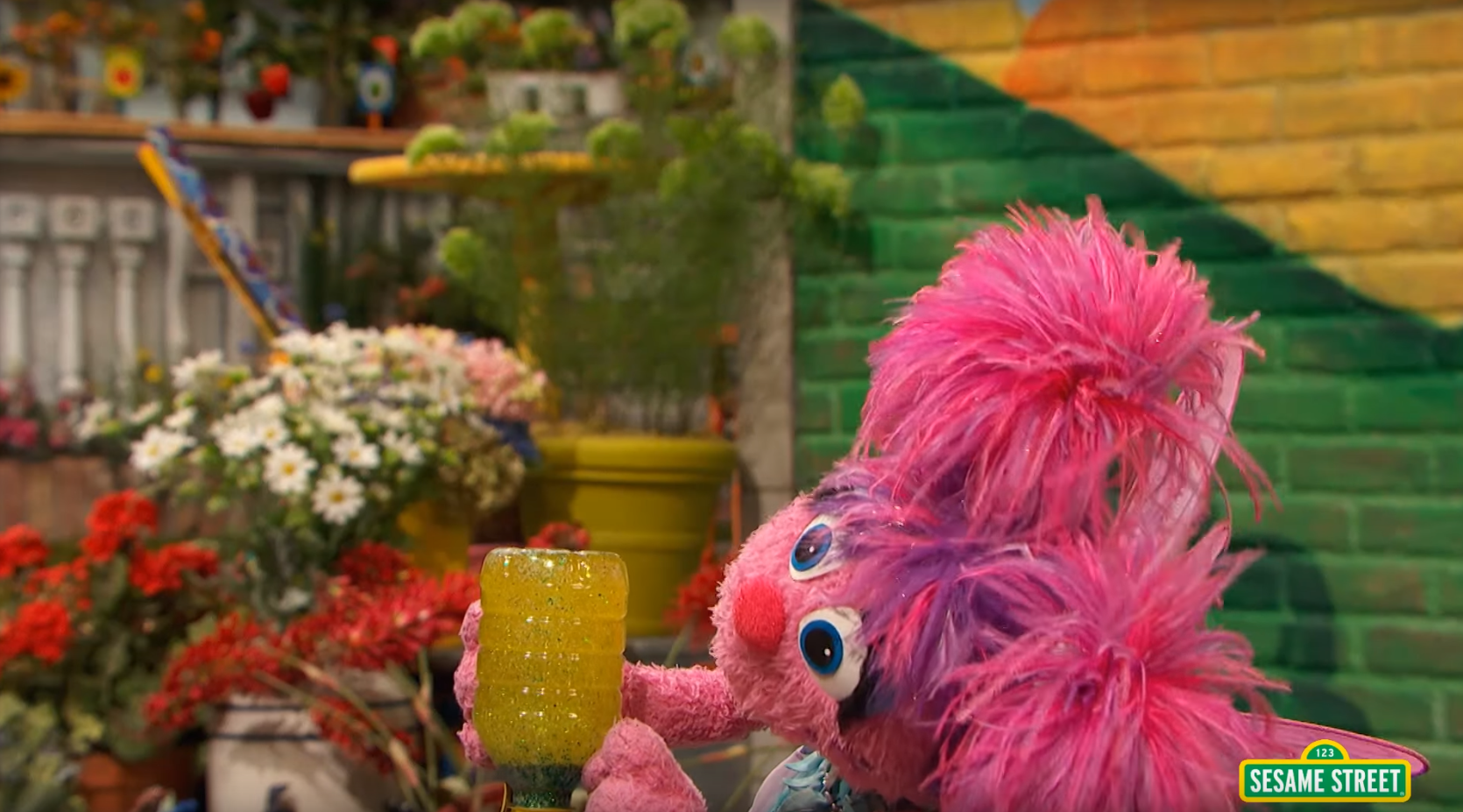 Slow Down and Settle Down video from Sesame Street