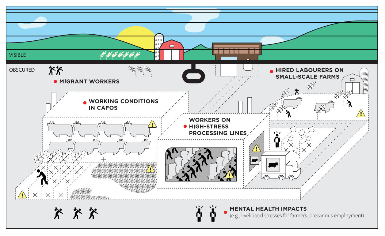 Visible and obscured working conditions in our current food systems.