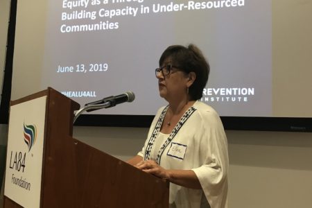 Elva Yanez speaking at second HEALU4ALL summit called Building Capacity in Under Resourced Communities