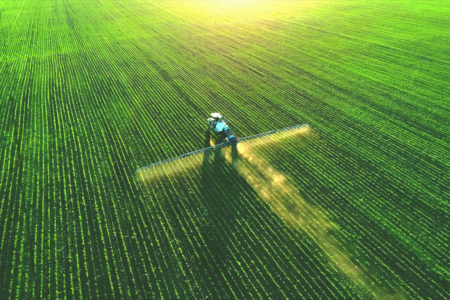 Pesticide Urge Against Deregulation