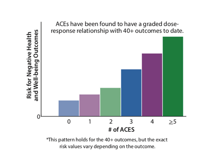 There is a dose-response relationship between the number of ACE categories experienced and successively increasing risk of numerous negative health and social outcomes Source Roadmap to Resilience