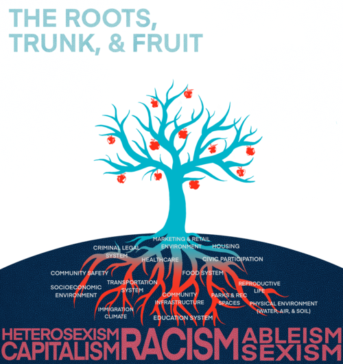 The Roots of Racial Disparities: A New Framework on the Social Determinants of Health
