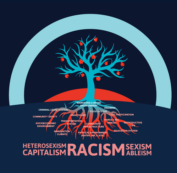 The Roots of Racial Disparities: A New Framework on the Social Determinants of Health