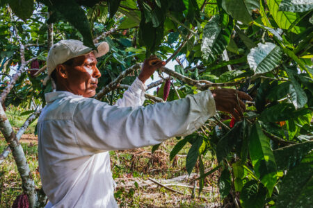 latino farmworker picking plants nitrate drinking water contamination