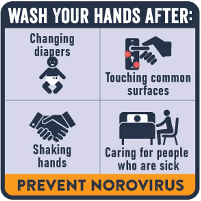 norovirus